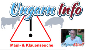 thumbnail_mks